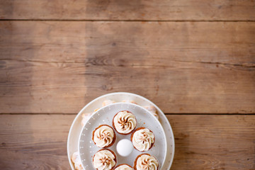 Close up, cupcakes with vanilla cream. Studio shot.