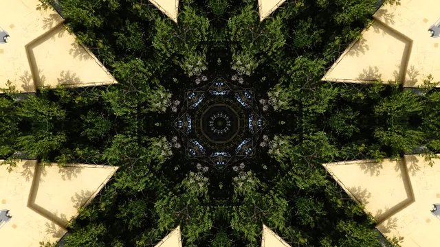 Background green leaves