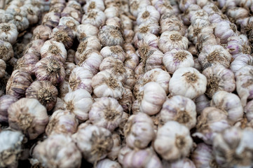 Garlic in the local market