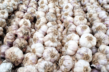 Garlic in the local market