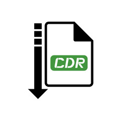 computer cdr file icon