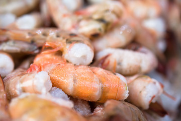 Camarones frescos en la pescadería.