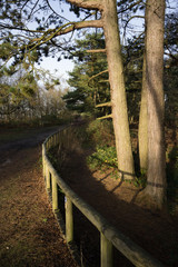 lickey hills