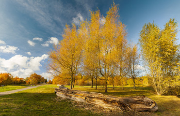 Nature park in autumn