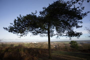 Obraz premium lickey hills