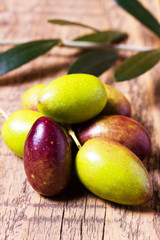 Olive verdi di Gaeta