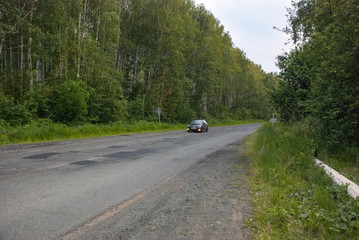 The highway in the wood