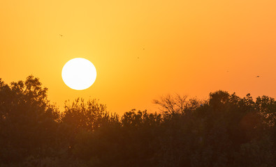 Fototapeta premium sunset in the park