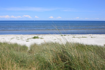 Fototapeta na wymiar Seaside in Denmark