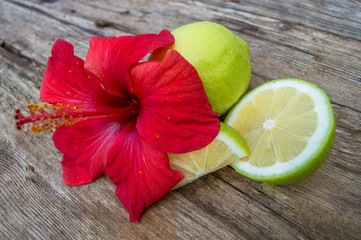 Red hibiscus and green juicy limes © radzonimo