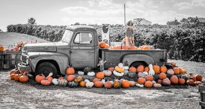 A black and white picture with orange pumpkins surrounding an old truck