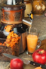 Domestic production of fresh apple juice. Fruit processing. Production of fruit drinks. Healthy lifestyle.
