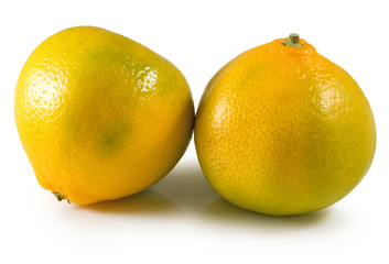 isolated image of orange close-up