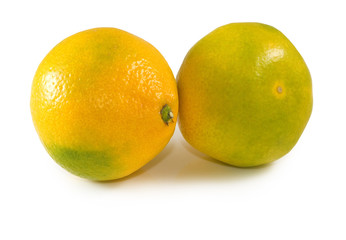 isolated image of orange close-up