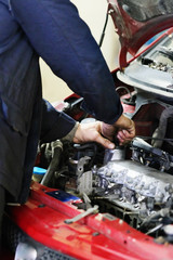 Fototapety na wymiar - Fototapeta24.pl