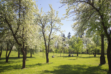 spring park