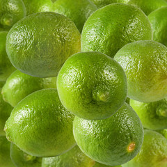 isolated image of lemons close-up