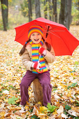 girl child in autumn forest with umbrella, beautiful landscape in fall season with yellow leaves