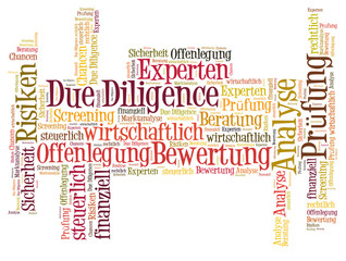 Due Diligence word cloud