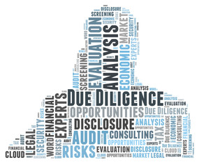 Due Diligence word cloud