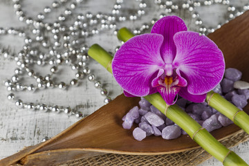 wellbeing concept with orchid and bamboo