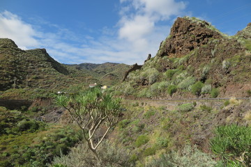 Teneriffa - Unterwegs im Anaga Gebirge