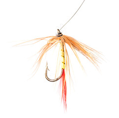 fly for fishing on a white background