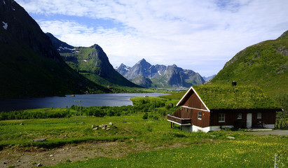 Grass covered house