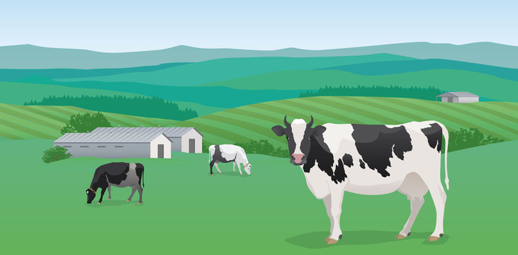 Seamless horizontal rural landscape, hills, fields, dairy farm, cows, road. Vector background.