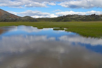 Fototapeta na wymiar Feuchtwiesen im Hochland bei Landmannalaugar (Island)