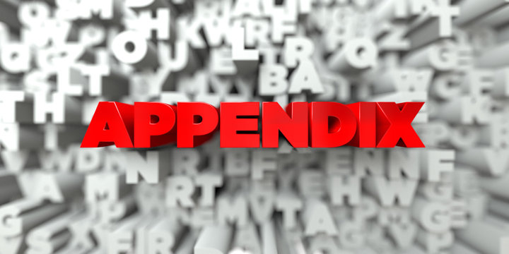 APPENDIX -  Red text on typography background - 3D rendered royalty free stock image. This image can be used for an online website banner ad or a print postcard.