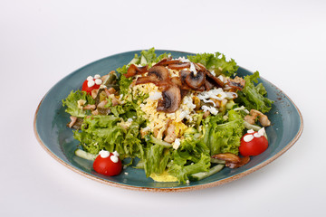 salad on white background