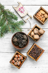 nuts for Christmas