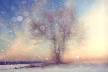 Obraz premium blurred background landscape winter sunny cold day Snow