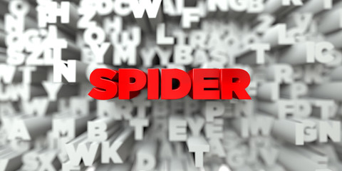 SPIDER -  Red text on typography background - 3D rendered royalty free stock image. This image can be used for an online website banner ad or a print postcard.