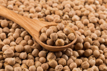 chick pea on white background