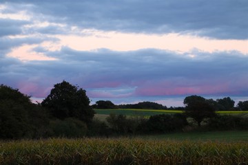 Evening colors in very late summer