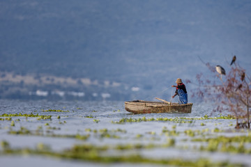 Traditional Mexican fishermen throwing fishing net at lake chapa © Martin Rudlof