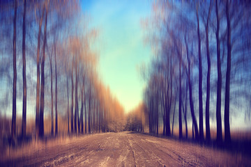 Obraz premium Landscape alley in autumn park