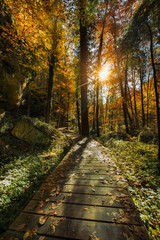 Automne enchanté sur la petite suisse luxembourgeoise