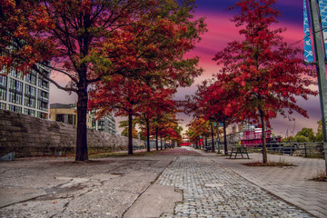 pink sky over the old port