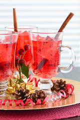 Sparkling Cranberry Soda drinks