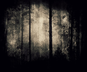 Obraz premium Forest Wallpaper, Grunge Background