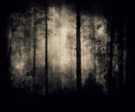 Fototapeta Forest Wallpaper, Grunge Background