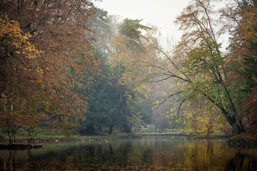 Autumn reflections