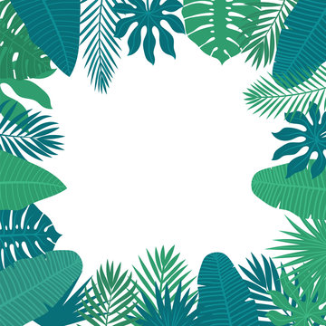 Abstract background with tropical leaves. Floral design backgrou