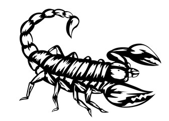 scorpion