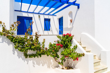 Typical whitewashed Greek house in Naoussa town on Paros island, Greece © pkazmierczak