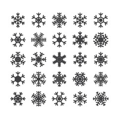 Set of different snowflakes isolated on white background. Snowfl