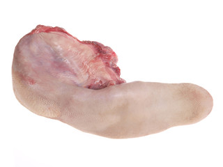 Raw beef tongue Isolated on a white background.